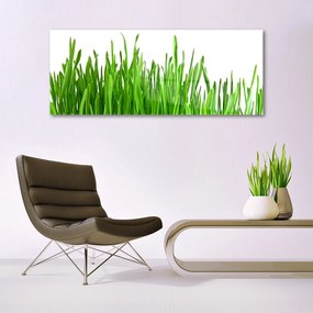 Akrilkép Grass Nature Plant 125x50 cm