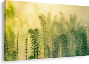 Kép - Részlet a tavaszi ködös természetből (90x60 cm)