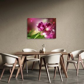 Rózsaszín tulipánok képe (üvegen) (70x50 cm)