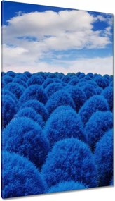 Vászonkép 80x120 Klasszikus kék színben