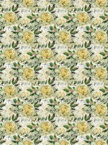 Flizelin fotótapéta Bazsarózsa finom virágok élénk színek 184x254 +ragasztó