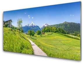 Üvegkép falra Mountain Meadow Path-völgy 100x50 cm 2 fogas