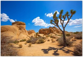 Fotótapéták flizelina 152x104 Sivatagi táj