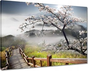 Vászonkép 70x50 Japán Virágzó cseresznye