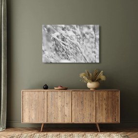 Kép - Havas ágak (90x60 cm)