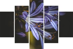 Kép - Lila (150x105 cm)