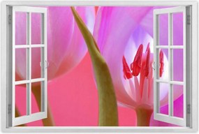 Poszterek 120x80 Rózsaszín tulipán