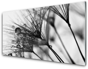 Üvegkép falra Absztrakció Plant Graphics 100x50 cm