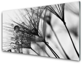 Üvegkép falra Absztrakció Plant Graphics 120x60cm 4 fogas