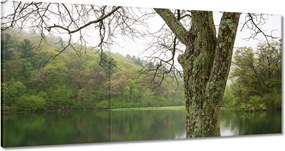 Vászonkép 120x60 Fa Folyó Erdő