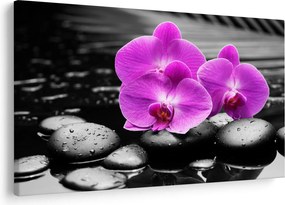 Kép - Lila orchideák (90x60 cm)