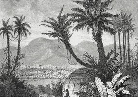 Fotótapéta Flizelin Dekoratív tapéta Trópusi oázis 208x146 Ragasztó