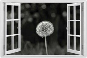 Poszterek 90x60 Pitypang