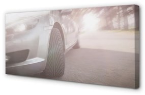 Canvas képek Ezüst autó utcai fa 140x70 cm