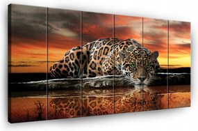 Vászonkép Tigris Szafari Fal 6 Részes Nappali Hálószoba 180x100