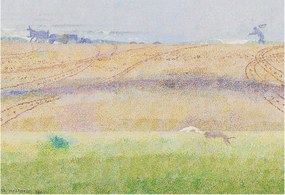 Flizelin fotótapéta Flizelin Design Nyári mező 152x104 Ragasztó