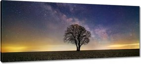 Vászonkép 100x40 Magányos fa és csillagok