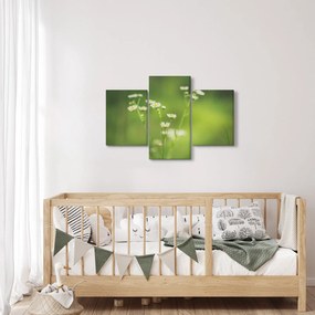 Egy százszorszép képe (90x60 cm)