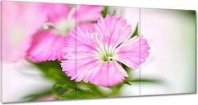 Vászonkép 180x90 Virágok