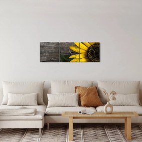Kép - Napraforgó virága (órával) (90x30 cm)