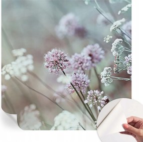 Öntapadós tapéta Divatos 3D fali ragasztóval Mezei virágok 250x250 cm