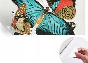 Öntapadós Dekoratív Fotótapéta Hálószobába Színes pillangók 250x104 cm