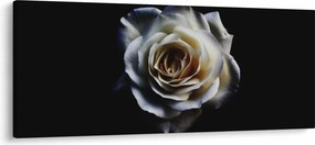 Fehér rózsa képe (120x50 cm)