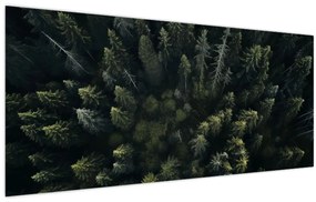 Kép - Forest (120x50 cm)