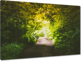 Vászonkép 120x80 Zöld levelek Levelek