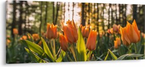 Kép - tulipánok (120x50 cm)