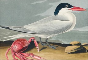 Fotótapéta Flizelin Dekoratív tapéta Tengeri táj 152x104 Ragasztó