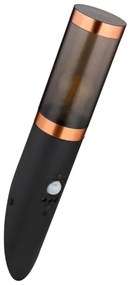 Globo 3157BCS-Kültéri fali lámpa érzékelővel BOSTON 1xE27/15W/230V IP44 fekete/réz