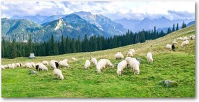 Konyhai panel Bárányok a Tátrában 140x70 cm Ragasztó