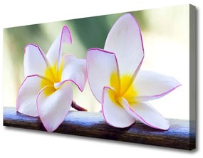 Canvas kép Plumeria virág szirmai 125x50 cm