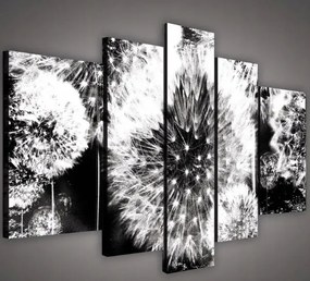 Vászonkép 170x100 Pitypang mag pitypang természet könnyedség modern