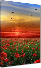 Vászonkép 70x100 Tájkép Látvány