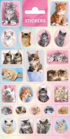 Állatos Cats matrica