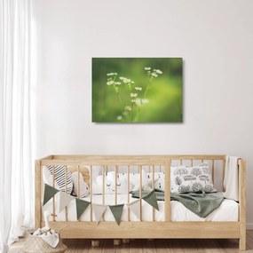 Egy százszorszép képe (üvegen) (70x50 cm)
