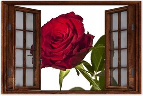 Poszterek 90x60 Vörös rózsa