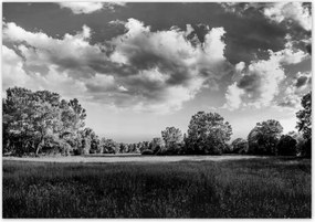 Poszterek 100x70 Vidéki réti táj