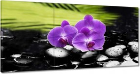 Festmények 120x60 Orchideák a köveken