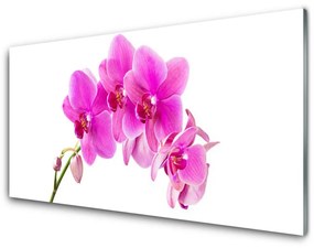 Üvegkép Orchidea virág orchidea 100x50 cm
