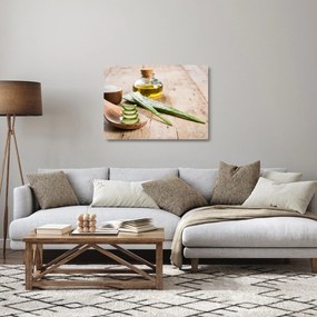 Üveg kép - Aloe vera (70x50 cm)