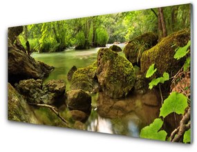 Akril üveg kép Rock Lake Nature 125x50 cm
