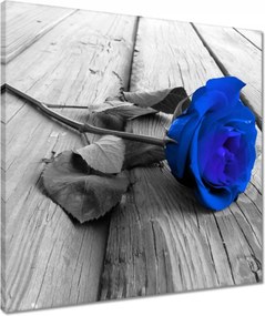 Vászonkép 50x50 Tintarózsa