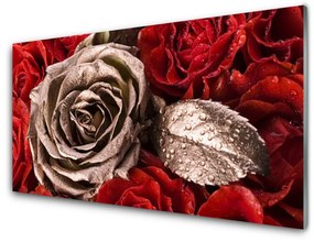 Üvegfotó rózsa virágok 100x50 cm