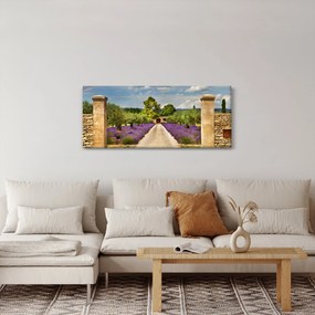 Kép - Levendula ösvények (120x50 cm)