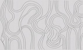 Flizelina Dekoratív Fotótapéta Hálószobába Organikus vonalak 416x254 Ragasztó