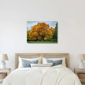 Fa képe (70x50 cm)