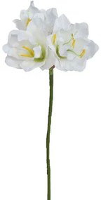 Mű amarilisz, fehér, 54 cm